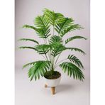 Yapay Çiçek Salon Bitkisi Areka 80cm 18 Yaprak Beyaz Zigon Saksıda Yeşil