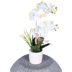 Yapay Çiçek Sitesi Dekoratif Beton Saksıda Yapay 2 Dal Beyaz Orkide Çiçeği - 50x35 Cm