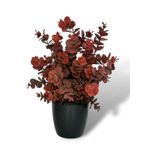 Yapay Çiçek Siyah Saksıda Okaliptus Şimşir Demeti Pudralı Pastel Bordo Dekoratif Yapay Bitki