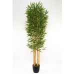 YAPAY ÇİÇEKÇİNİZ 7 Gövdeli Yoğun Yapraklı 180 Cm Bambu Ağacı