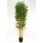 Yapay Çiçekçiniz 7 Gövdeli Yoğun Yapraklı 180 Cm Yapay Bambu Ağacı