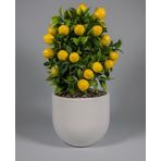 Yapay Çiçekçiniz Beyaz Beton Saksıda Yapay Limon Ağacı
