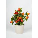 Yapay Çiçekçiniz Beyaz Saksıda Canlı Görünümlü Yapay Mandalina Ağacı 25-28 cm Uzunluk - Nar Çiçeği Rengi