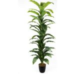 Yapay Çiçekçiniz Siyah Saksıda Çim Detaylı Büyük Yapraklı Yapay Difenbahya Ağacı 180 Cm