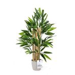 Yapay Çiçekçiniz Taş Detaylı Saksıda 60 Cm Yapay Bambu Ağacı Yeşil