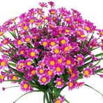 Yapay Çiçekler, Yapay Papatyalar Çiçekler Açık Hava UV Dayanıklı Sahte Yapraklı Bitkiler Çalılar Pencere Kutusu Asma Çiftlik Evi İç Mekan Dış Mekan Dekoru(Rose Red,10pcs)