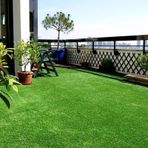 Yapay Çim 8 mm Çim Halı Suni Çim YAPAY ÇİM HALI BALKON ÇİM HALI