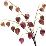 Yapay Çin Feneri Sapları - Gerçek Dokunuş PU Physalis - 100 cm Uzunluk - Ev, Etkinlik ve Mevsimlik Dekor - Birden Fazla Renk (Erik Baharatı - Erik-Kahverengi)