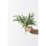 Yapay Kabak Çiçeği Demeti Yeşil Beyaz 30 Cm 5 Dal