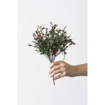 Yapay Kabak Çiçeği Demeti Yeşil Pembe 30 Cm 5 Dal
