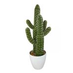 Yapay Kaktüs Ağacı 3 Kollu 2Li Set - Beyaz Saksıda Yapay Bitki 53*20Cm Vitrin