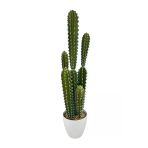 Yapay Kaktüs Ağacı Sütun Kaktüsü (Cereus Peruvianus) - Beyaz Saksıda Yapay Bitki 70*20Cm Vitrin