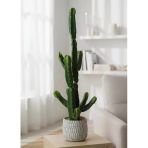 Yapay Kaktüs Euphorbia İngens Şamdan Ağacı Beton Saksıda Yapay Bitki 70Cm Vitrin