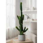 Yapay Kaktüs Euphorbia İngens Şamdan Ağacı Beton Saksıda Yapay Bitki 70cm Yeşil
