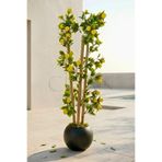 Yapay Limon Bambu Ağacı - Siyah Küre Saksılı 100 cm