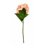 Yapay Ortanca Çiçeği, Somon Rengi, 66 cm, Tek Dal, Dekoratif Ev ve Ofis Süsü için İdeal Hydrangea