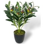 Yapay Zeytin Ağacı Saksıda 40Cm 5 Dallı 10 Meyveli Yapay Çiçek Artificial Olive