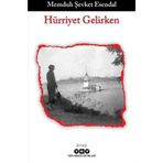 Yapı Kredi Yayınları Hürriyet Gelirken Kitabı