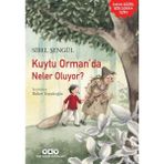 Yapı Kredi Yayınları Kuytu Orman’da Neler Oluyor? - Sibel Şengül