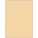 Yapışkanlı Eva 50X70 Ten Rengi Rulo Şeklinde - 4 Adet