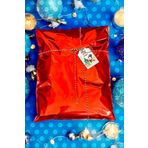 Yapışkanlı Metalize Hediye Paketi Poşeti 12x17cm Kırmızı 10 Adet Yeni Yıl Yılbaşı Hediye Paketi -T1085