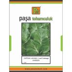 Yaprak Lahana Tohumu (Karden) 10 Gr