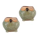 Yardenfun Saksı Vazo 2Pcs Flower Decor Owl Ceramic Pot Kreş Havzası Bitkiler Decor Etli Saksı Çiçek Tutucu Masa Kaban Çömlek Etli Pot Etli Dekorasyonu Kaktüs Konteyner Mini Kaplar