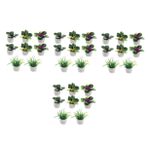 Yardwe 4 Takım 4 Takım Mini Bitki Süsleme Sahte Bitkiler Kapalı Küçük Yapay Bitkiler Ev Yapay Bitkiler Kapalı Ficus Lyrata Bitkiler Menekşe Akvaryum Kök Tırnaklar Yeşil 8 adet * 4