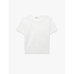 Yarı Transparan Slim Fit Kısa Kollu Dantel Crop Tişört
