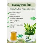 Yaş Zeytin Yaprağı Çayı | Köyceğiz'den %100 Doğal Detox Bitki Çayı • Güçlü Antioksidan - 75 Gr.
