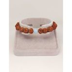 Yaşam Tohumu Akuamarin Taşlı Rudraksha Tohum Bileklik 8mm