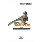 Yaşayan Dinozor Avian Kuşların Evrimi ve Atalarının Serüveni Pedram Türkoğlu Ginko Kitap