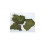 YAŞAYANDUVAR Teraryum Yosun Kara Yosunu Flatmoss 30x30 cm. Canlı Teraryum Yosunu