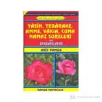 Yasin, Tebarake, Amme, Vakıa, Cuma, Namaz Sureleri Ve Dualar Cep Boy Yas-050-Kolektif - kollektif