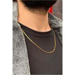 Yassı Italyan Model Snake Yılan Kolye 316 L Çelik Erkek Zincir - Altın