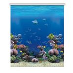 Yatak Odası, Banyo ve Çocuk Odası için Premium Karartma Stor Perde - Plaj Manzaralı Panjurlar, Çoklu Boyutlar (60 cm ila 140 cm Genişlik) - 120 cm x 120 cm (47 inç x 47 inç)