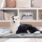 Yataş Bedding Ringo 115x85x3 cm Large Kedi ve Köpek Yatağı