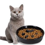 Yavaş Besleyici Kedi Kaseleri, Kediler için Seramik Eğlenceli Yavaş Yiyen Kase (Siyah)
