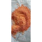 Yavaş Salınımlı Akıllı Üre Gübresi 9 Aylık Tüm Bitkiler Için Uygun-250 gram