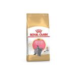 Yavru British Shorthair Kedi Maması 2 Kg