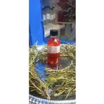 Yavuz El Yapımı Içilebilir Güneşte Bekletilmiş Kırmızı Kantaron Yağı 50 ml Cam Şişe