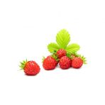 Yayılıcı Dağ Çileği Tohumu 10 Tohum Çilek Tohumu + Süpriz Hediye