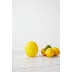 YAZICI QLUX Limon Saklama Kabı – Pratik Kapaklı Limon Koruyucu Saklama Kutusu BPA Free