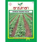YAZLIK KIVIRCIK MARUL TOHUMU 10 GR ORT 7500 AD TOHUM