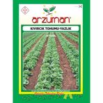 Yazlık Marul - Kıvırcık Tohumu (10 gr)