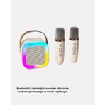Yazline Global Karaoke Hoparlör Taşınabilir Çift Mikrofonlu ve LED Işıklı Bluetooth 5.0 - Renkli