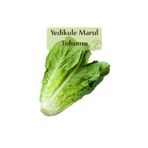Yedikule Marul Tohumu 1 Paket (10gr=8000+ Adet) Yedi Kule Marul Tohumu