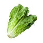 Yedikule Marul Tohumu 1 Paket (10Gr=8000+ Adet) Yedi Kule Marul Tohumu