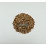 Yelken 100 gr Hardal Tohumu