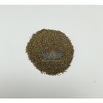 Yelken 100 gr Kereviz Tohumu